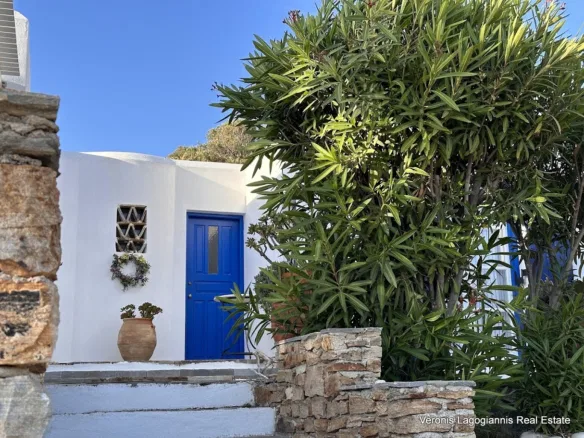 Mikri Vigla Naxos / House of 130m2 / 640674