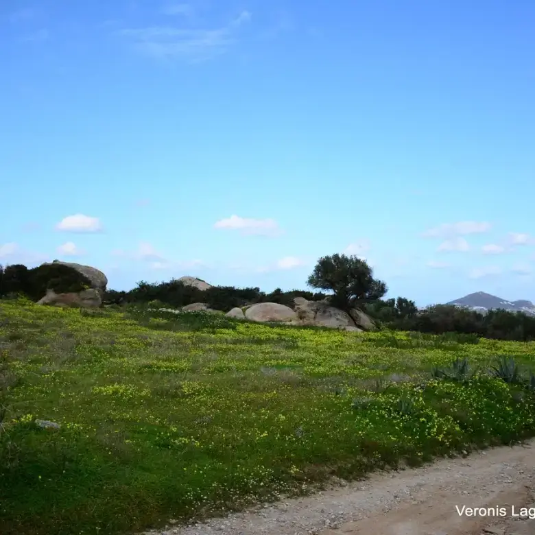 Agios Arsenios / Αgricultural land of 6.431 m2
