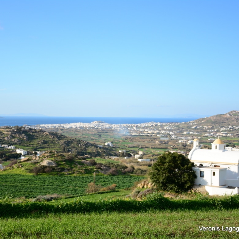 Galanado Naxos – Plot 4.600m2 / 640663