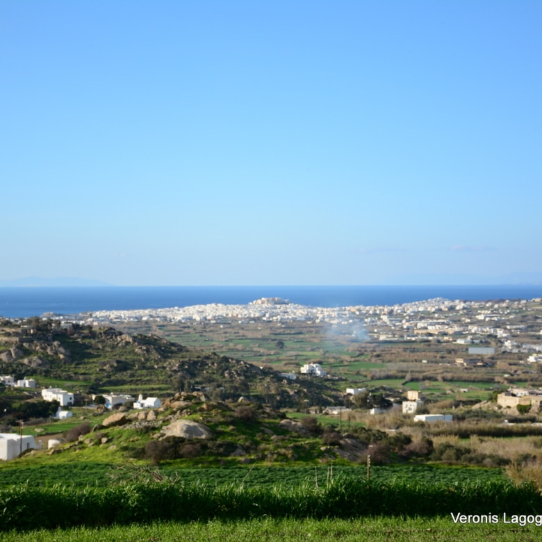 Galanado Naxos – Plot 4.600m2 / 640663