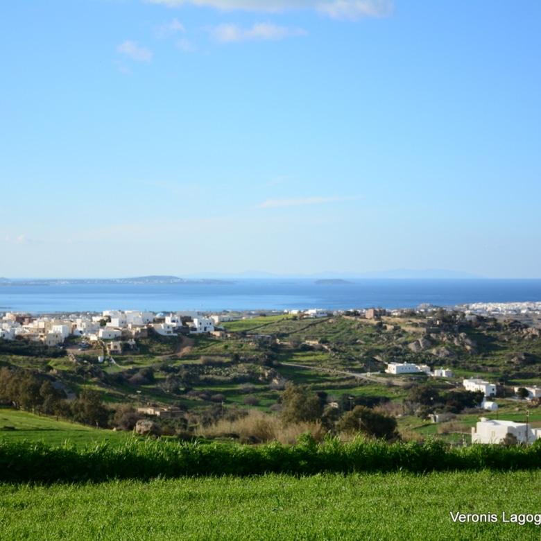 Galanado Naxos – Plot 4.600m2 / 640663