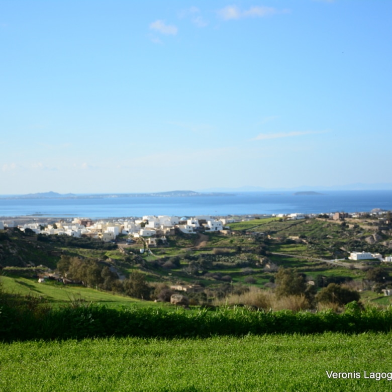 Galanado Naxos – Plot 4.600m2 / 640663
