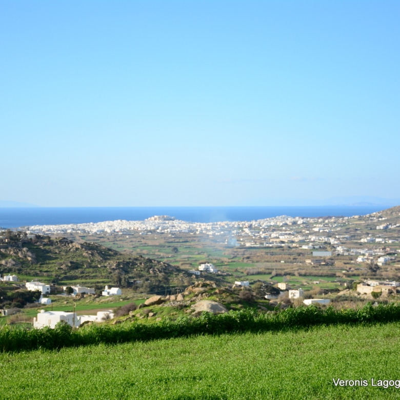 Galanado Naxos – Plot 4.600m2 / 640663