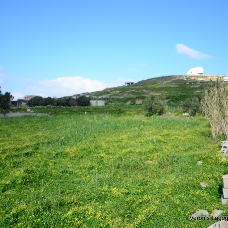 Vivlos Naxos – Plot 1,258m2 / 640668
