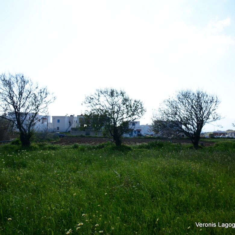 Vivlos Naxos – Plot 1,258m2 / 640668