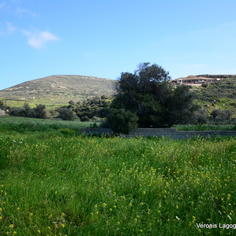 Vivlos Naxos – Plot 1,258m2 / 640668