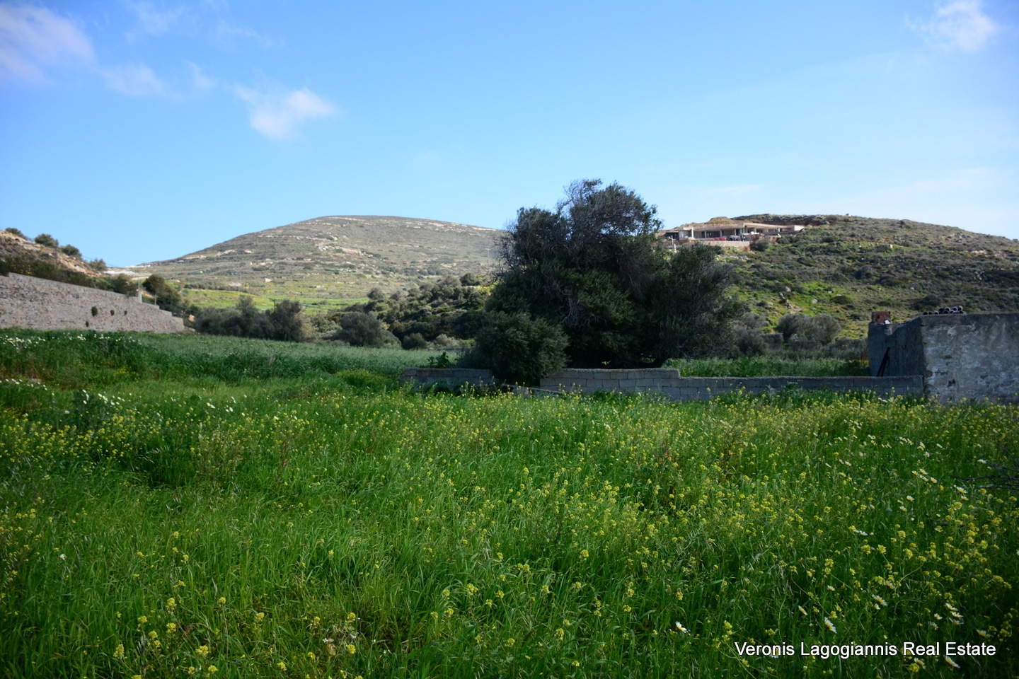 Vivlos Naxos – Plot 1,258m2 / 640668