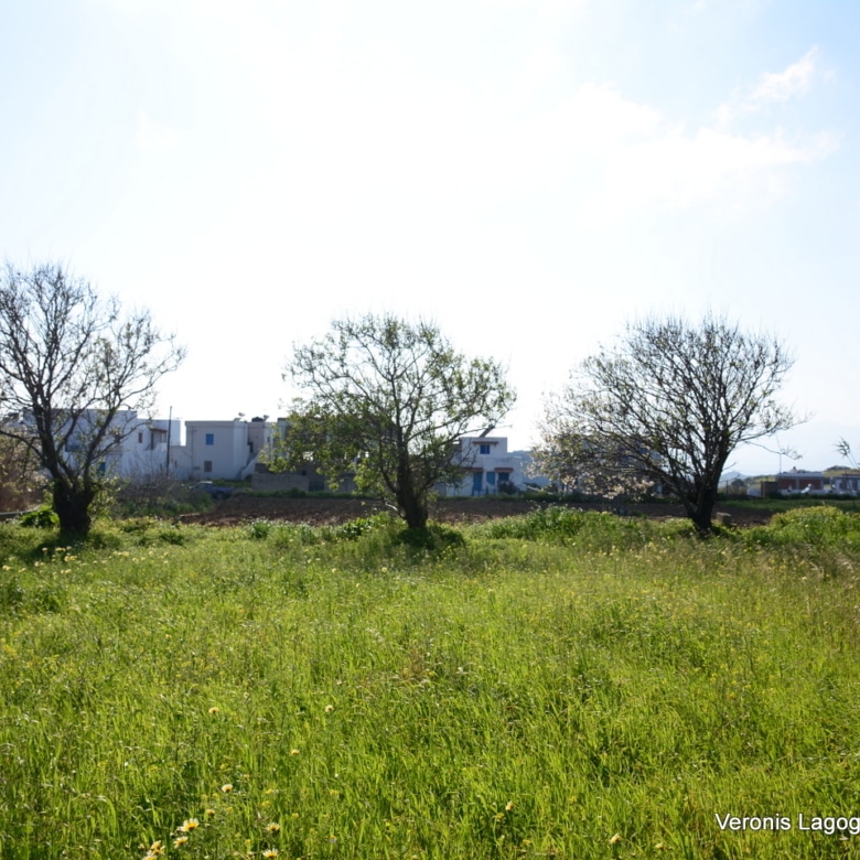 Vivlos Naxos – Plot 1,258m2 / 640668