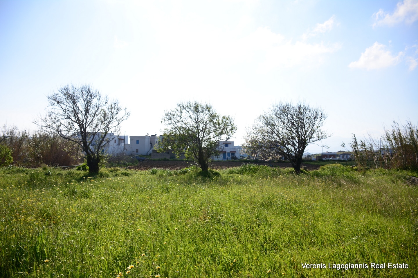 Vivlos Naxos – Plot 1,258m2 / 640668