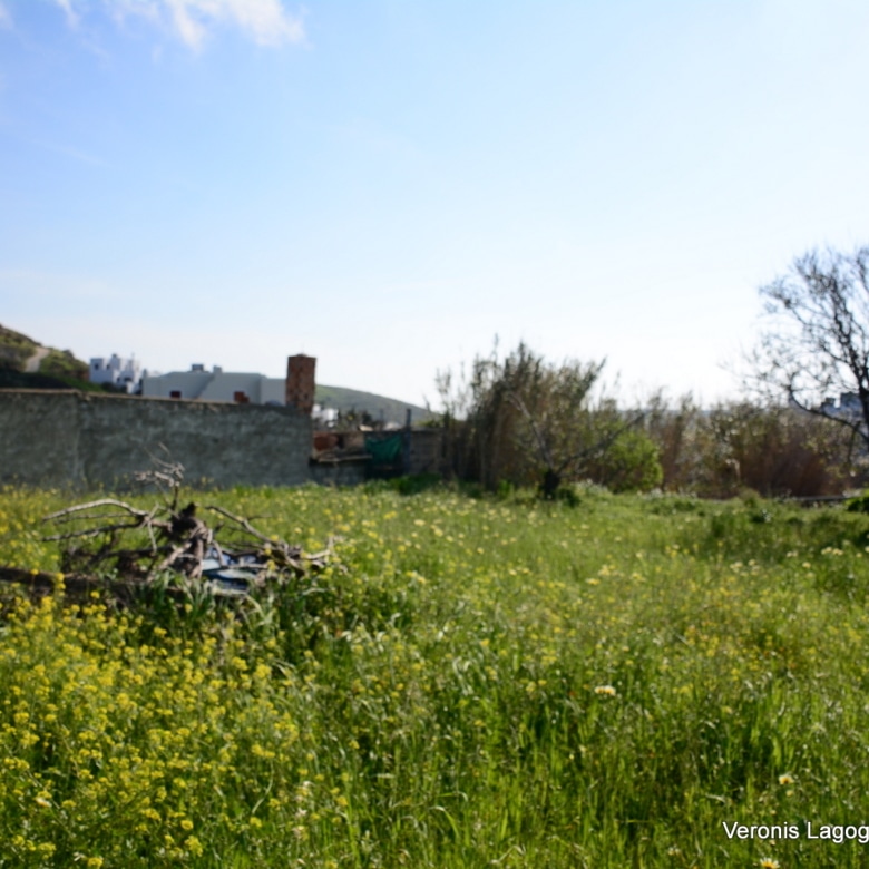 Vivlos Naxos – Plot 1,258m2 / 640668