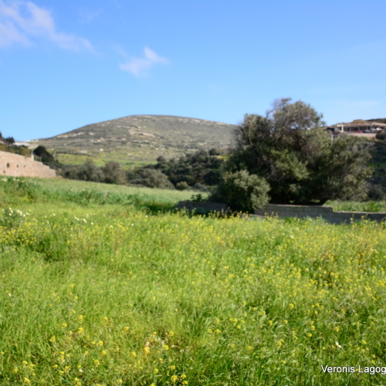 Vivlos Naxos – Plot 1,258m2 / 640668