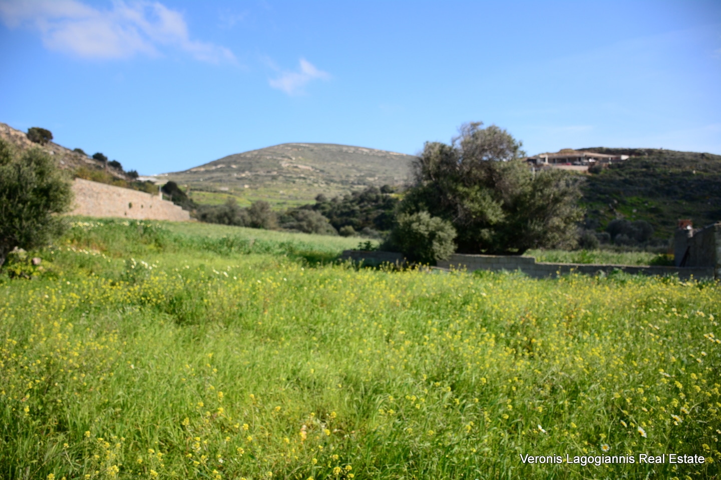 Vivlos Naxos – Plot 1,258m2 / 640668