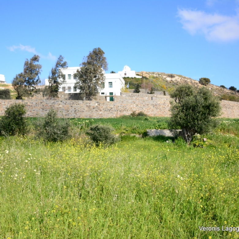 Vivlos Naxos – Plot 1,258m2 / 640668