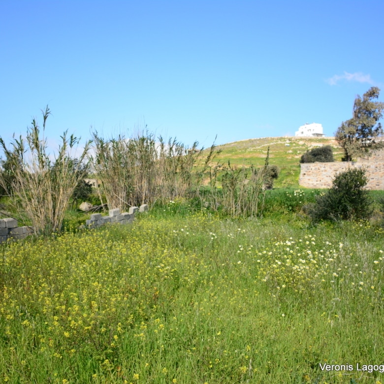 Vivlos Naxos – Plot 1,258m2 / 640668
