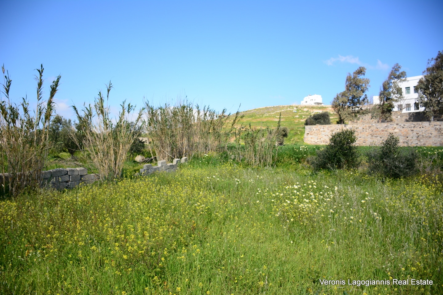Vivlos Naxos – Plot 1,258m2 / 640668