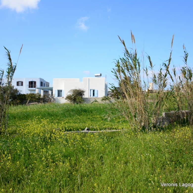 Vivlos Naxos – Plot 1,258m2 / 640668