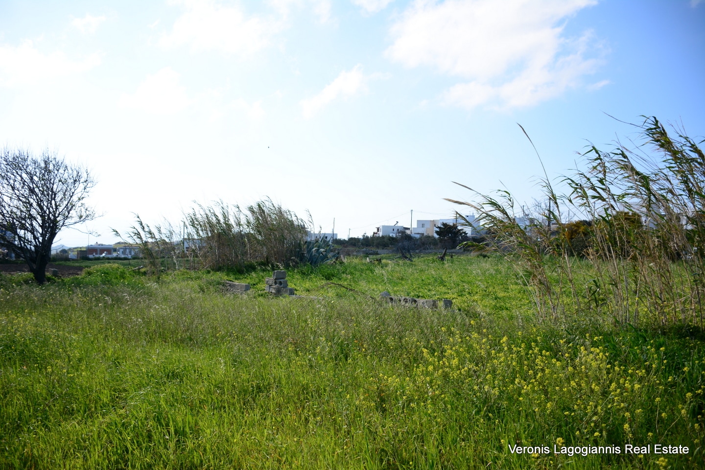 Vivlos Naxos – Plot 1,258m2 / 640668