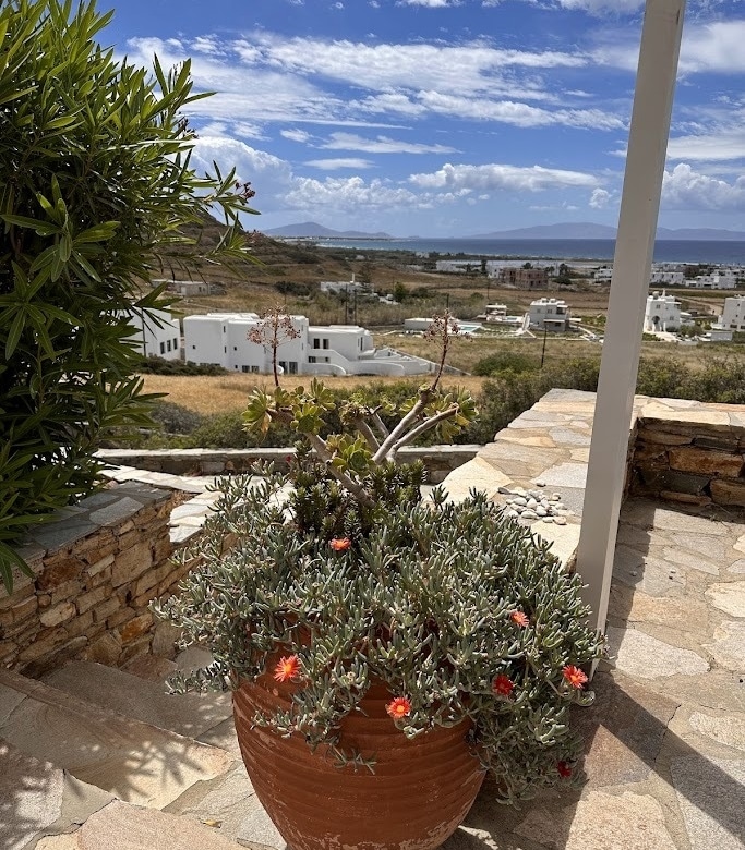 Mikri Vigla Naxos / House of 130m2 / 640674