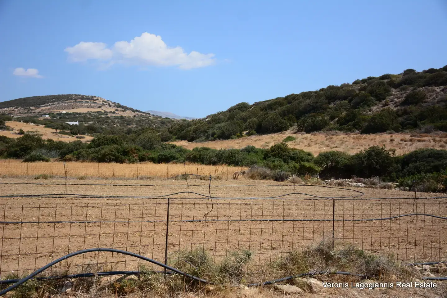 DSC_8694 Καστράκι Νάξος / Αγροτεμάχιο 2.890 m2 / 640594