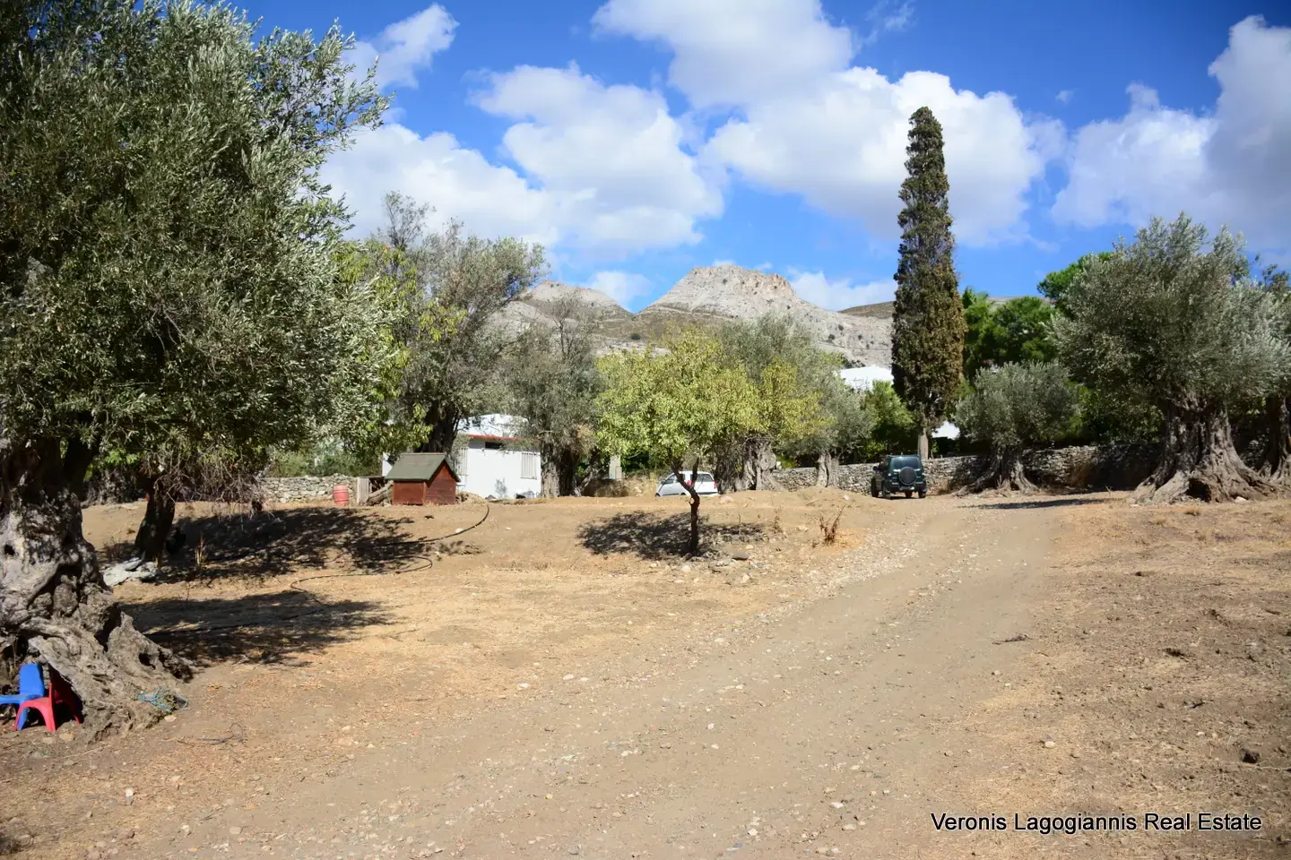 DSC_8778 Kaloxylos Naxos / Ancient olive grove 2.000 m2 / 640604
