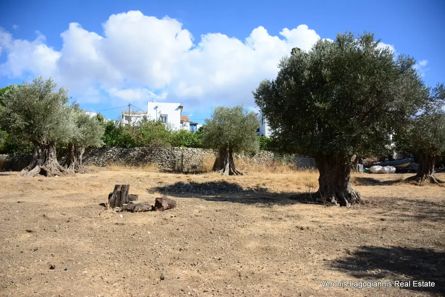 DSC_8784 Kaloxylos Naxos / Ancient olive grove 2.000 m2 / 640604