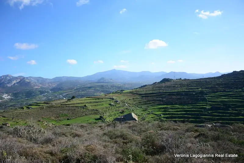 DSC_7478 Αγκίδια Νάξος / αγροτεμάχιο 8.607,70 m2 /640551