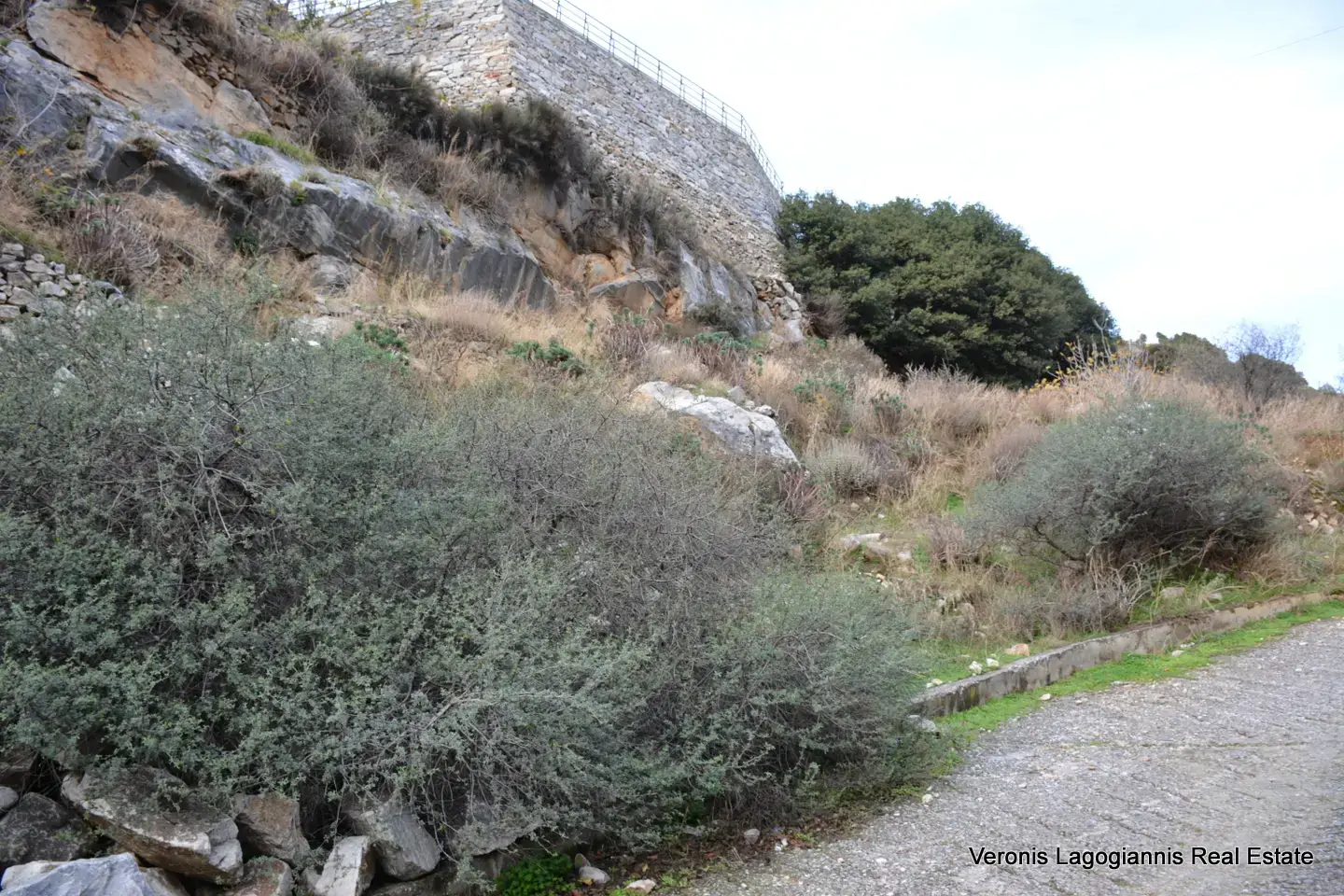 DSC_9366 Φιλώτι Νάξος / Οικόπεδο 205 m2 / 640614