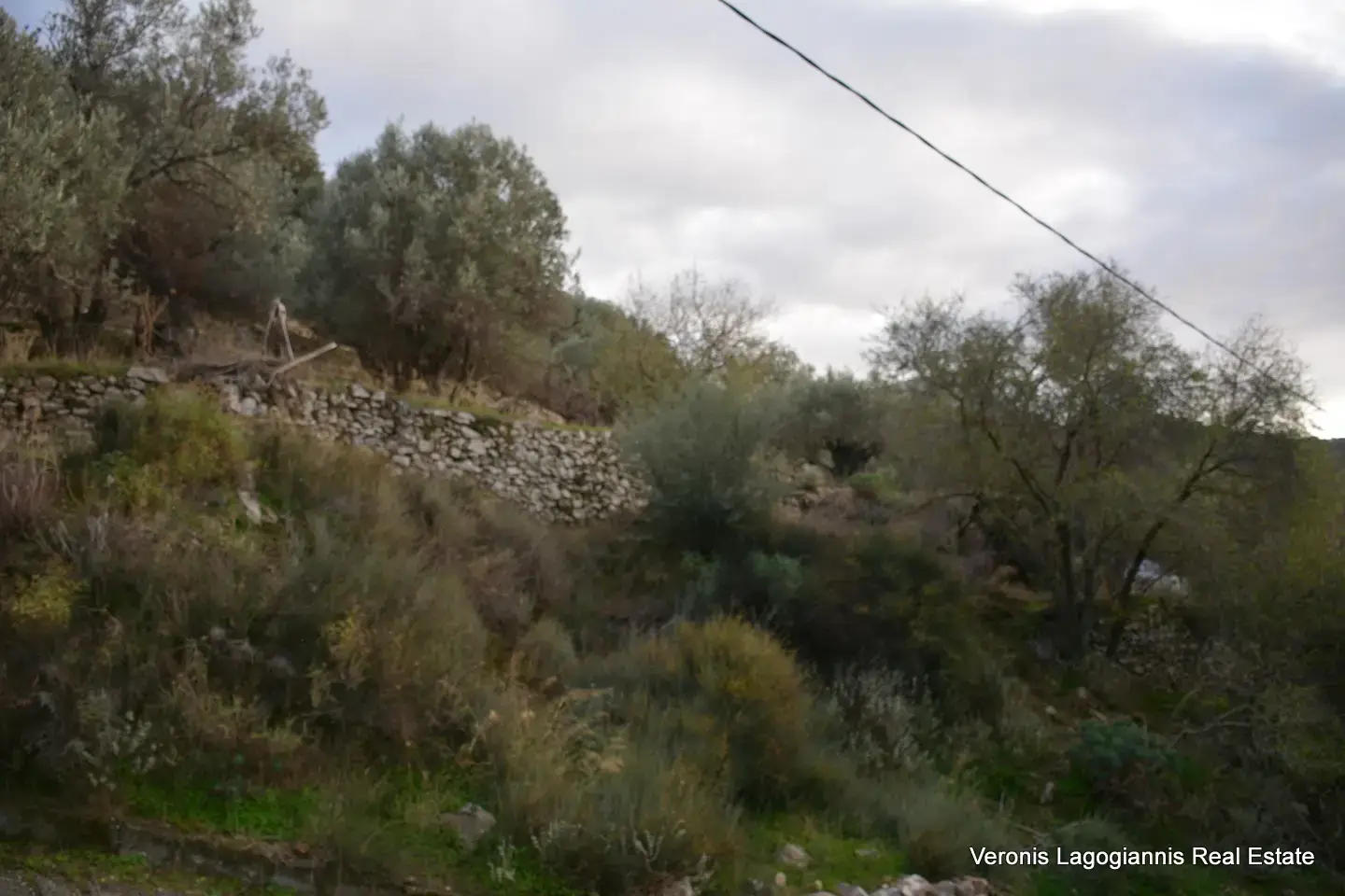 DSC_9371 Φιλώτι Νάξος / Οικόπεδο 205 m2 / 640614