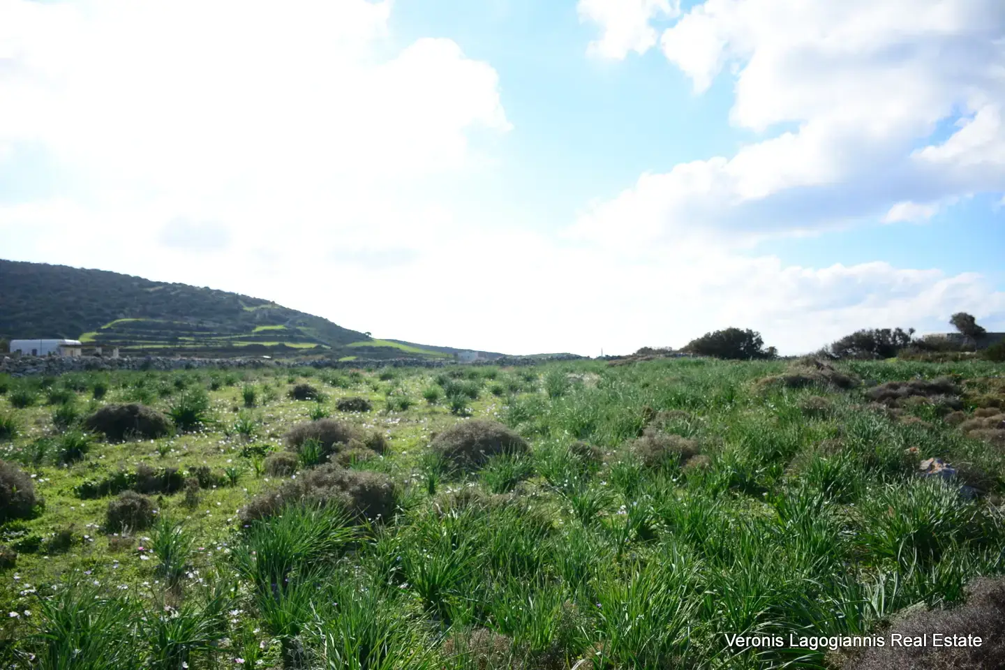 DSC_9462 Καστράκι Νάξος / Αγροτεμάχιο4,098 m2 / 640615