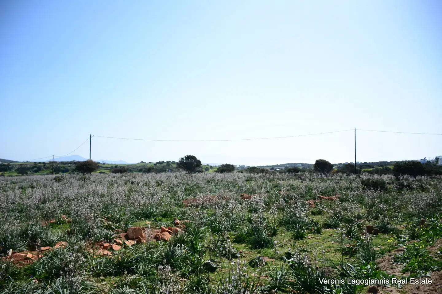 DSC_9526 Καμάρια Αλυκό / Αγροτεμάχιο με Άδεια Κατασκευής Δύο Βιλών /640616