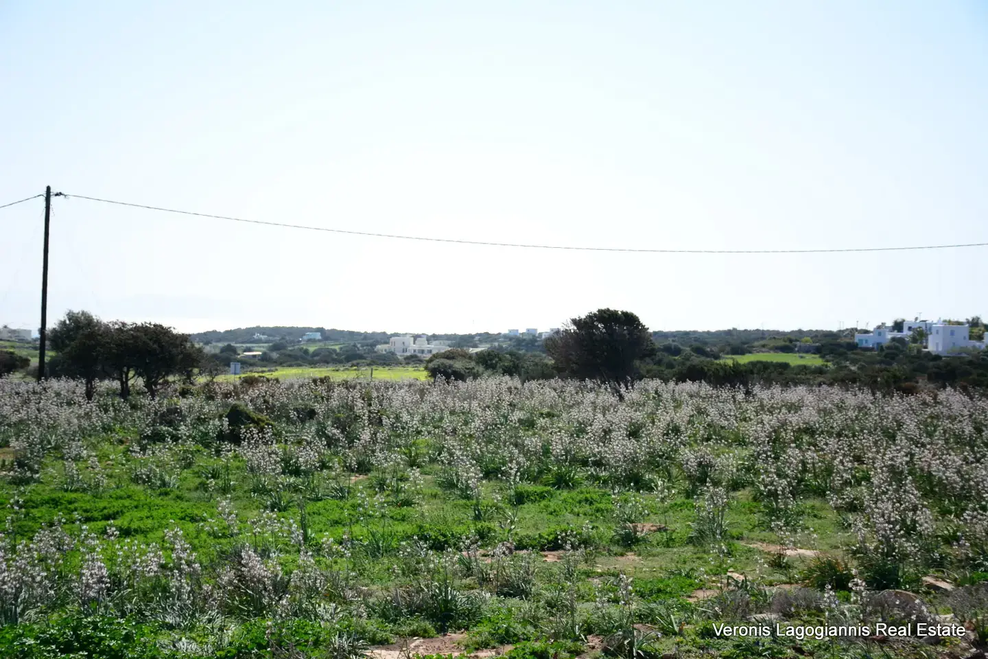 DSC_9533 Καμάρια Αλυκό / Αγροτεμάχιο με Άδεια Κατασκευής Δύο Βιλών /640616
