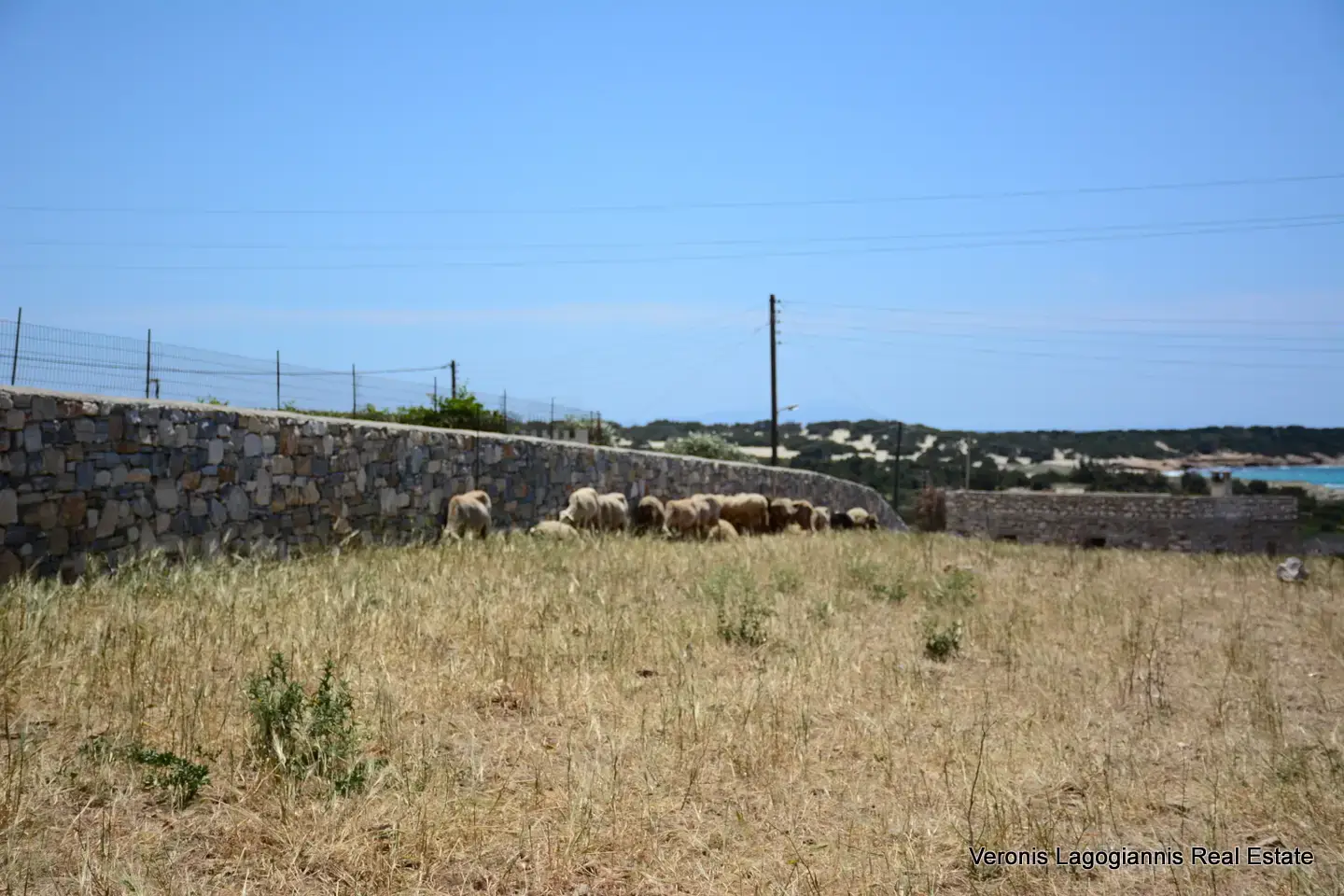 DSC_9700 Glyfada Naxos – Parcel 4.556m2 / 640630