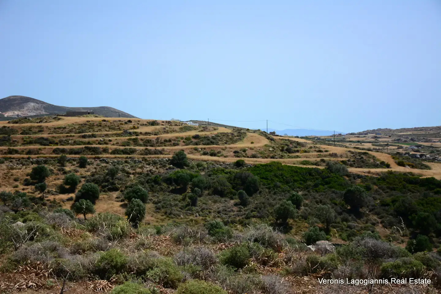DSC_9764 Vivlos Naxos – Land 5.300m2 / 640629