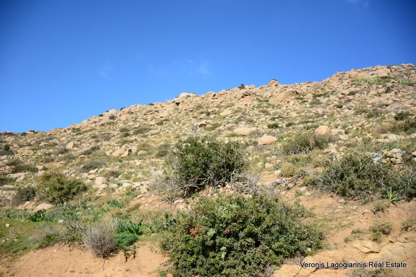 DSC_1203 Agidia Naxos / Plot 4.230m2 / 640659