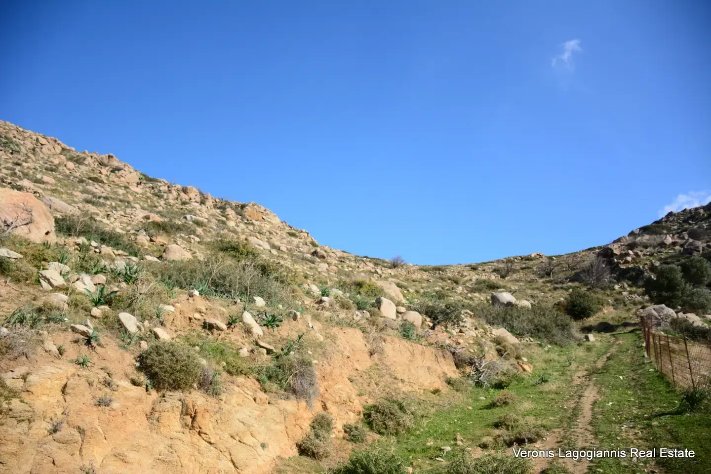DSC_1205 Agidia Naxos / Plot 4.230m2 / 640659