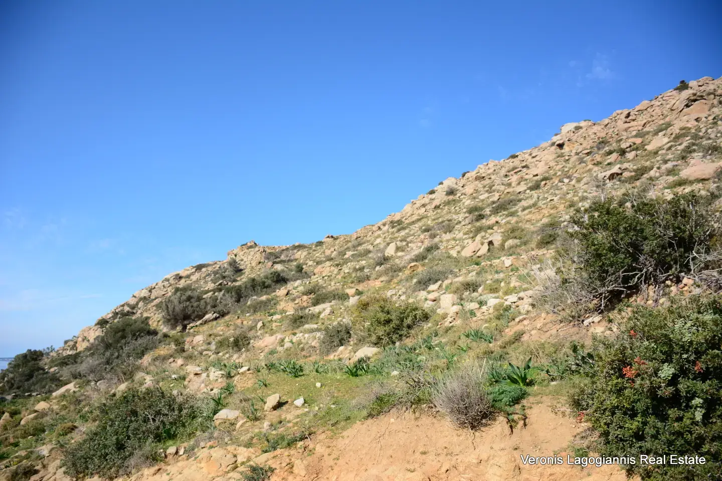 DSC_1206 Agidia Naxos / Plot 4.230m2 / 640659