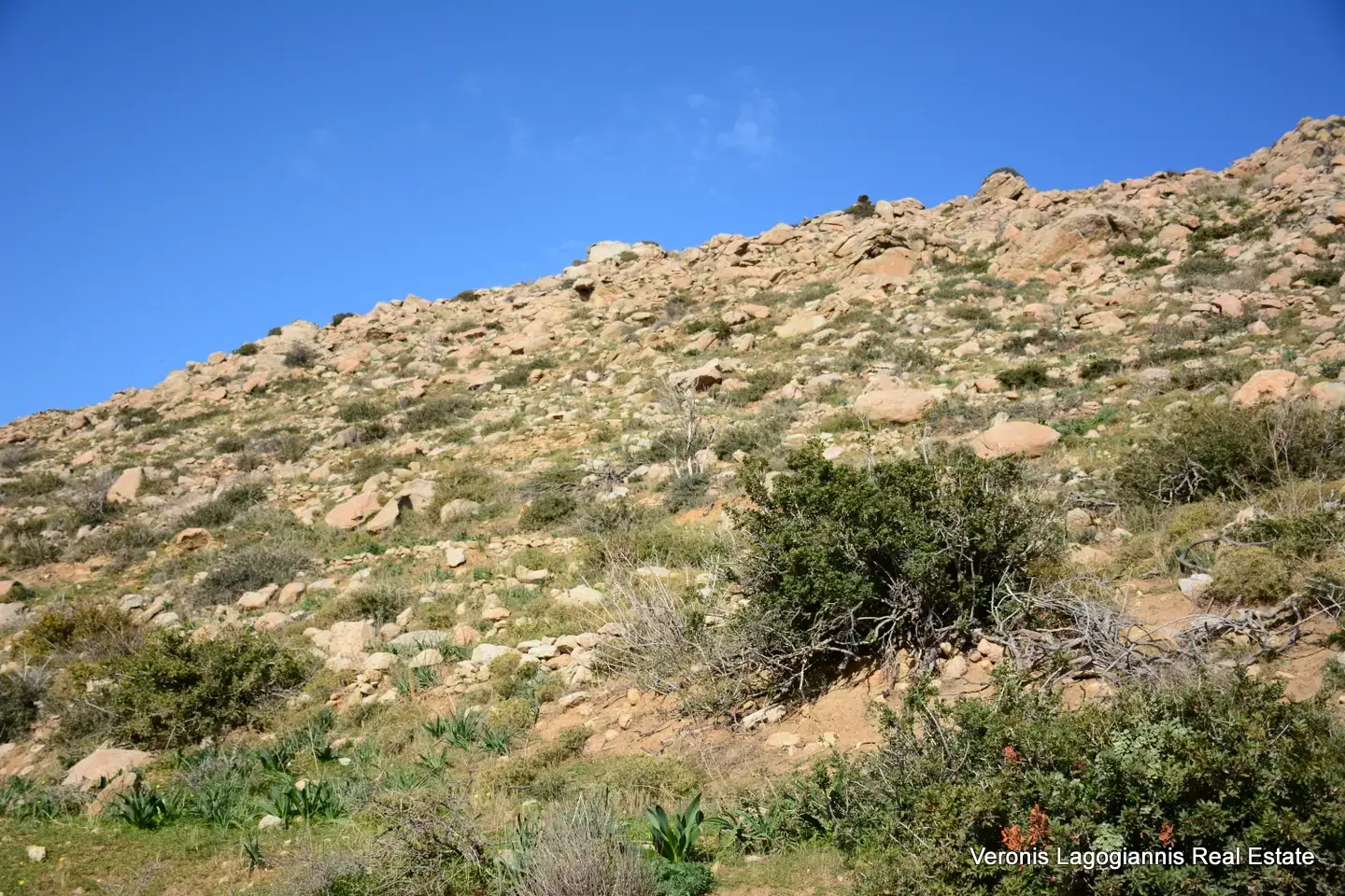 DSC_1210 Agidia Naxos / Plot 4.230m2 / 640659