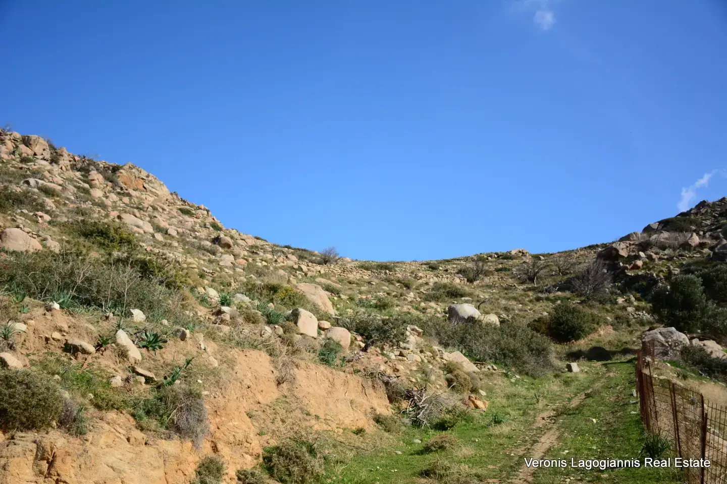 DSC_1212 Agidia Naxos / Plot 4.230m2 / 640659