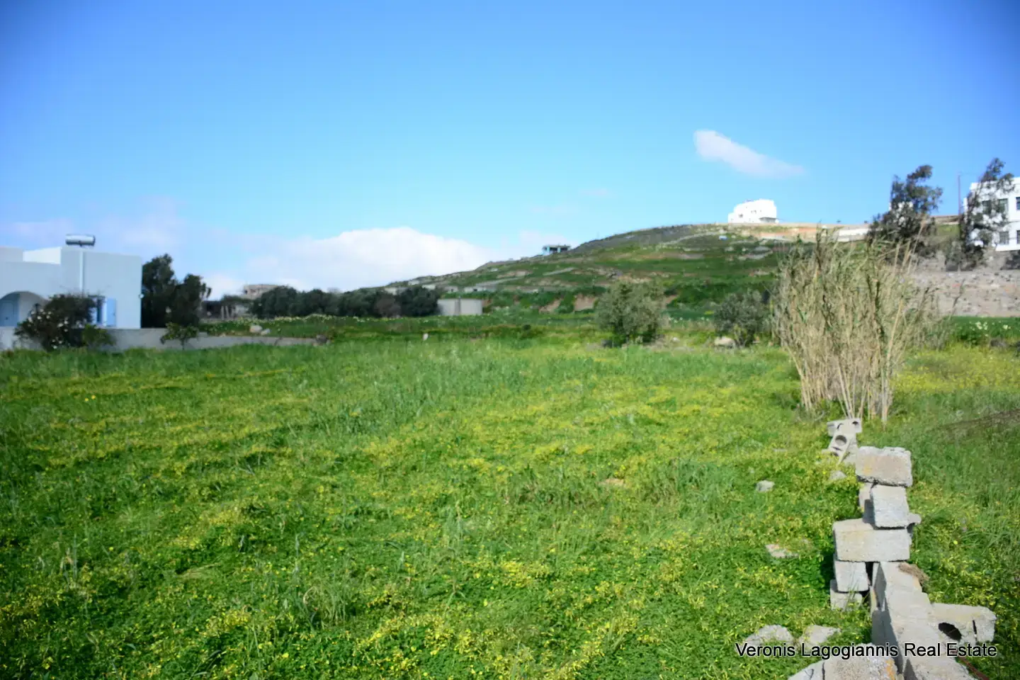 DSC_1301 Vivlos Naxos – Plot 1,258m2 / 640668