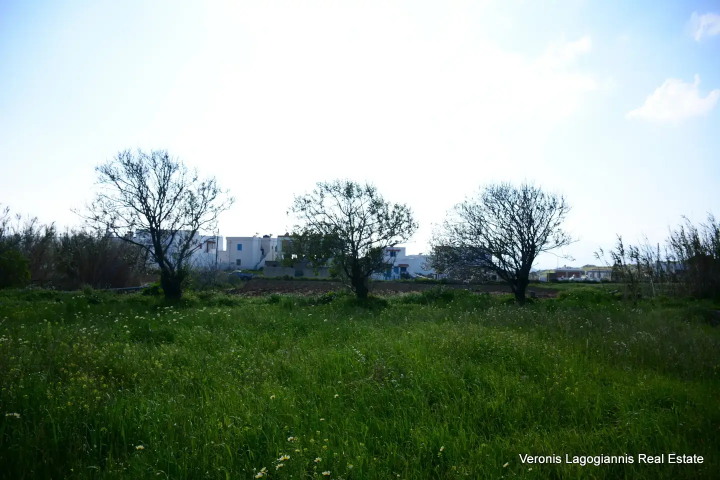 DSC_1305 Vivlos Naxos – Plot 1,258m2 / 640668