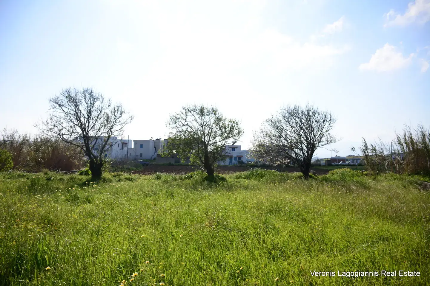 DSC_1307 Vivlos Naxos – Plot 1,258m2 / 640668