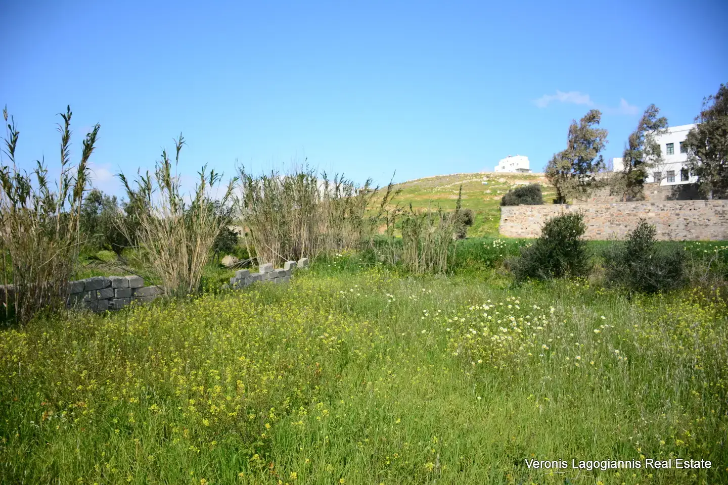 DSC_1311 Vivlos Naxos – Plot 1,258m2 / 640668