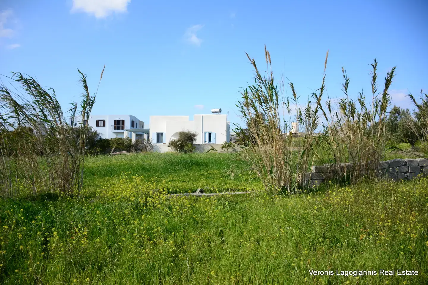 DSC_1312 Vivlos Naxos – Plot 1,258m2 / 640668