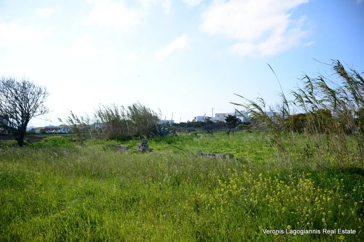 DSC_1313 Vivlos Naxos – Plot 1,258m2 / 640668