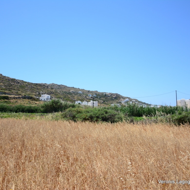 Plaka Naxos – Plot 2.500m2 / 640680