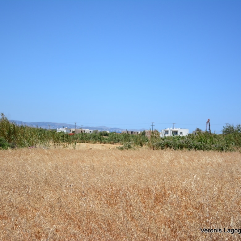 Plaka Naxos – Plot 2.500m2 / 640680