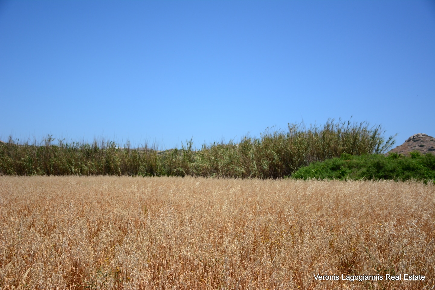 DSC_1443 Plaka Naxos – Plot 2.500m2 / 640680