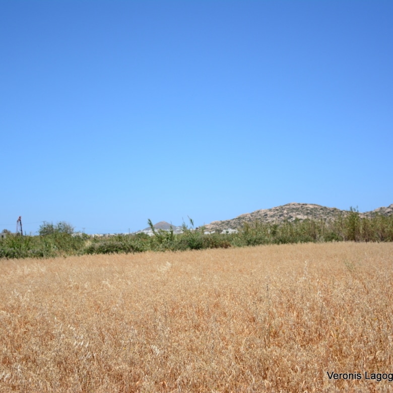 Plaka Naxos – Plot 2.500m2 / 640680