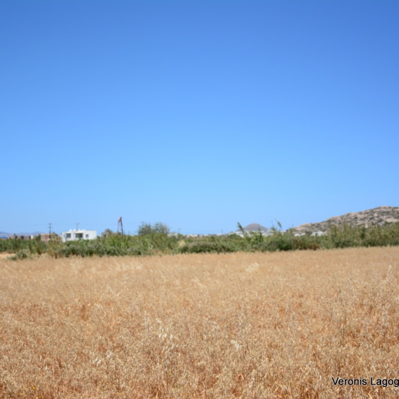 Plaka Naxos – Plot 2.500m2 / 640680
