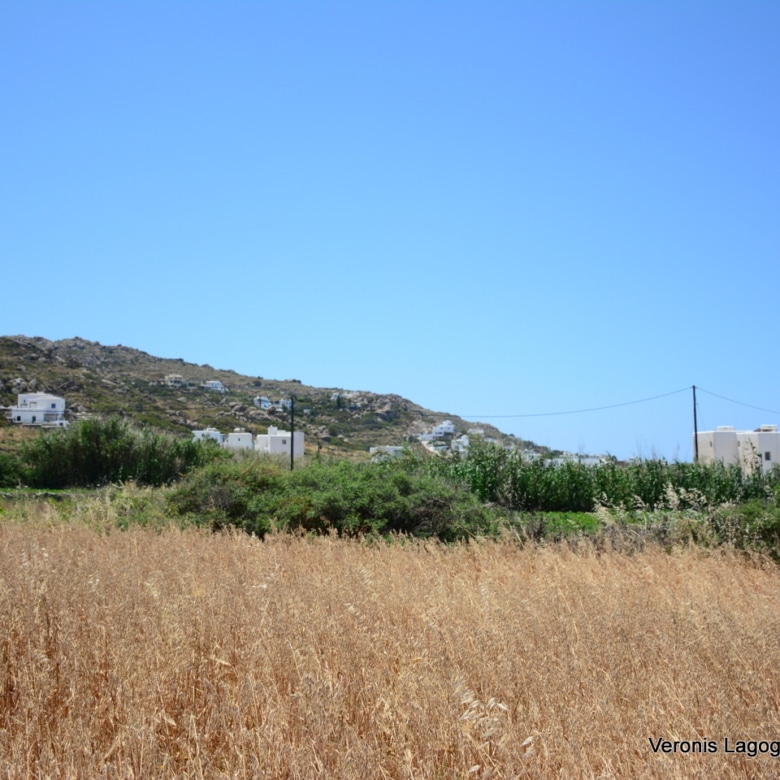 Plaka Naxos – Plot 2.500m2 / 640680